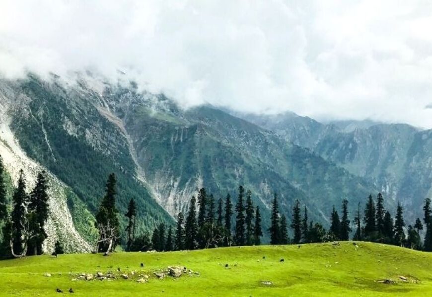 Doodpathri Gulmarg kashmirtraveler