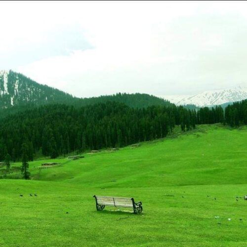 Doodhpathri | Jammu and Kashmir | India