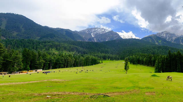 Jammu to Srinagar Road Trip