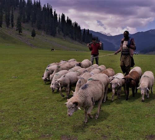 Bangus Valley Kashmir