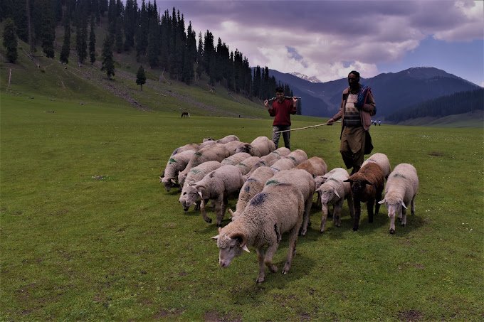 Bangus Valley Kashmir