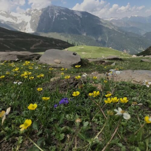 Bangus Valley Kashmir