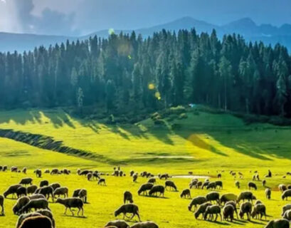 bungus-valley-jammu_and_kashmir_india