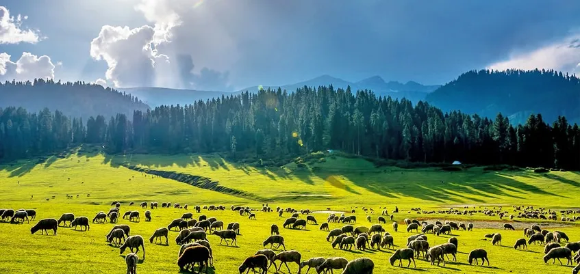 Bangus Valley | Jammu and Kashmir | India | 193221