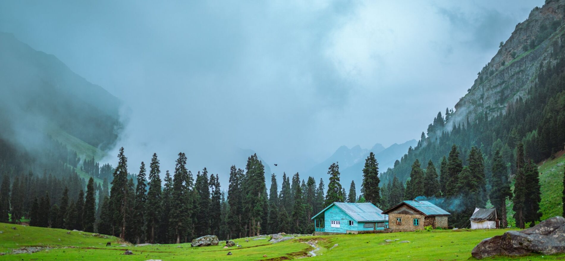 Daksum Valley | Jammu and Kashmir | India