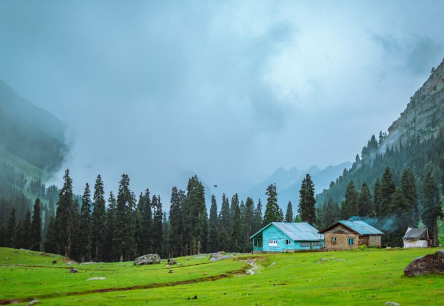 Daksum Valley | Jammu And Kashmir | India | 192202