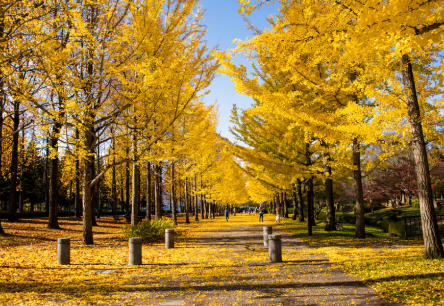 Kashmir Temperature in September