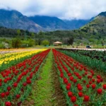 Kashmir Weather in April