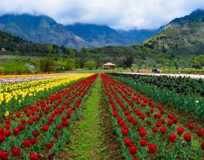 Kashmir Weather in April