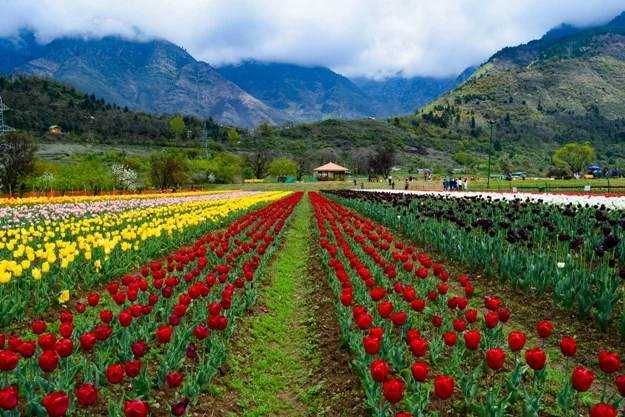 Kashmir Weather in April