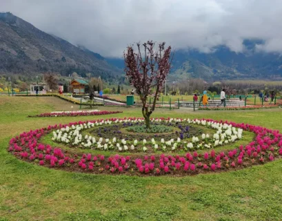 Tulip Garden Srinagar